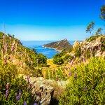 Finish your trip with hiking and wine tasting on Mallorca