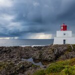 Watch whales from Ucluelet on British Columbia's Vancouver Island in March