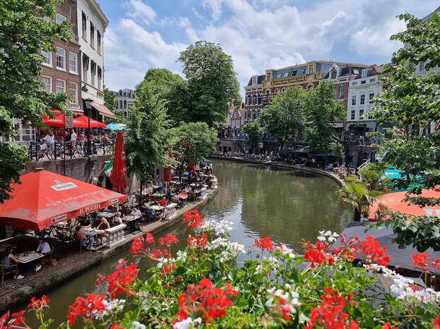 Summer in the Netherlands