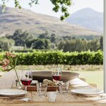 Savor the Cape Winelands' best bottles before you set off on safari