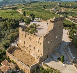 Discover Chateauneuf du Pape & the Luberon