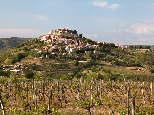 Drive to Plitvice with a stop in Motovun for a truffle tasting  tour 