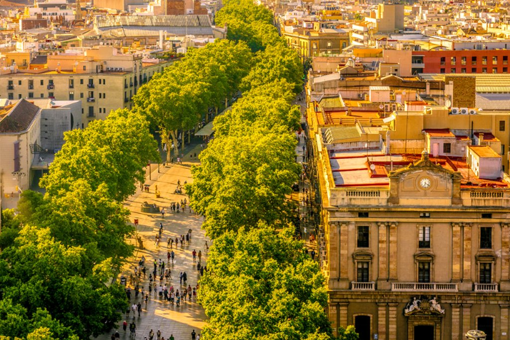 Leafy Trees lining Barcelona's La Rambla