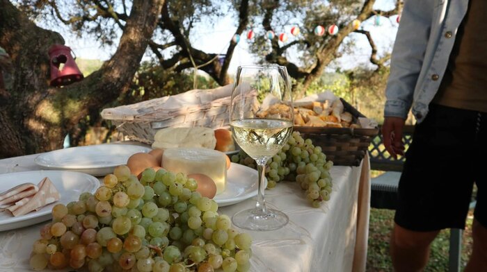 Storywalking Experience in Castelli Romani