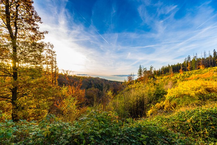 See the fall colors in the Ardennes in September