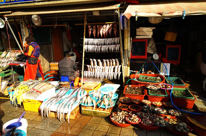 Full Day Busan Highlights Tour with Jagalchi Fishery Market