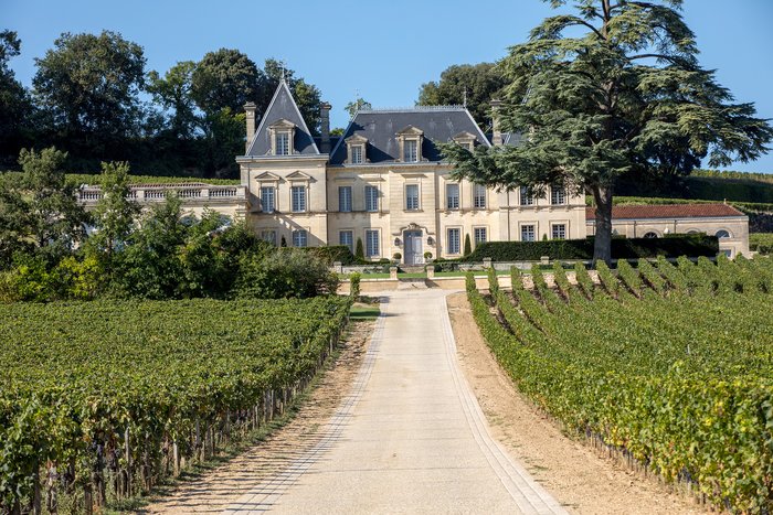 Saint-Emilion Afternoon  Wine Tour