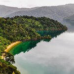 Take the ferry to Picton on the South Island for the full-day Queen Charlotte Track