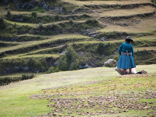 Journey from Puerto Maldonado to Cusco and transfer to the Sacred Valley