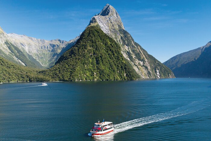 Full-Day Milford Sound Bus Tour