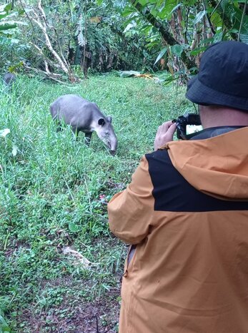 Tapir Valley Reserve Night Tour