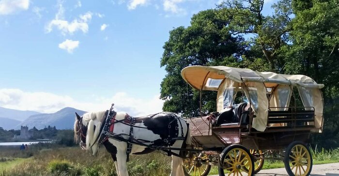 Killarney National Park Private Tour