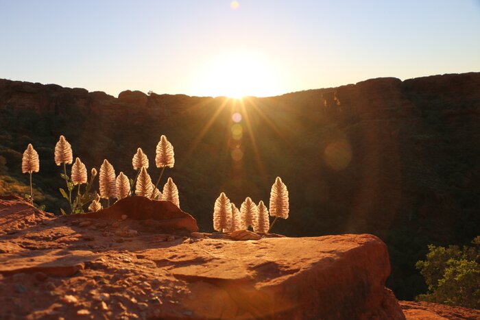 Sunrise at King's Canyon
