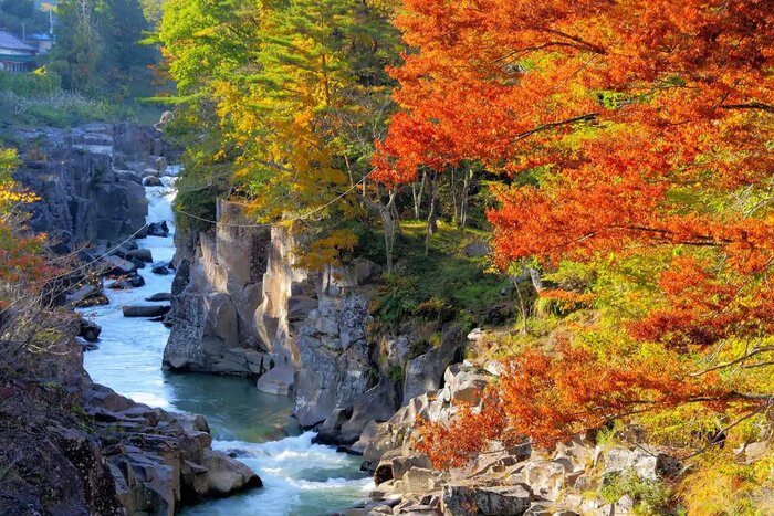 Discover Hiraizumi: Chusonji Temple, Motsuji Temple, and Genbikei Gorge