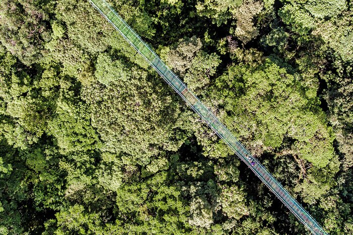 Selvatura Park Guided Hanging Bridges & Zip Lining
