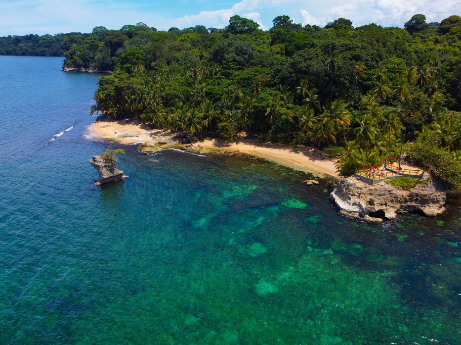 Dense jungle meets sandy stretch of beach on coast