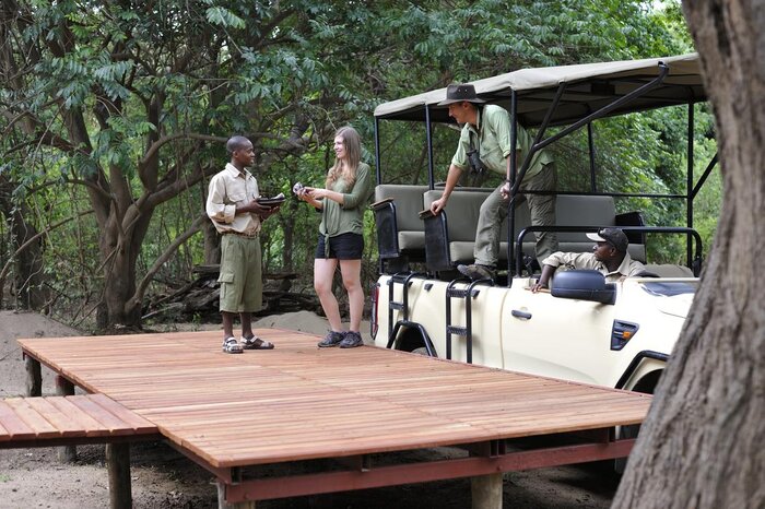 Morning and Afternoon Safari Activity