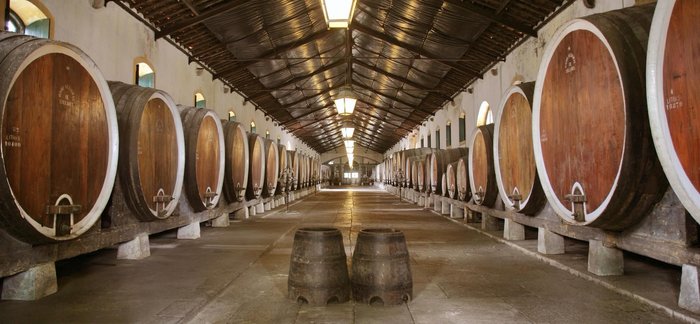 Discover Sintra & Wines of the Old World