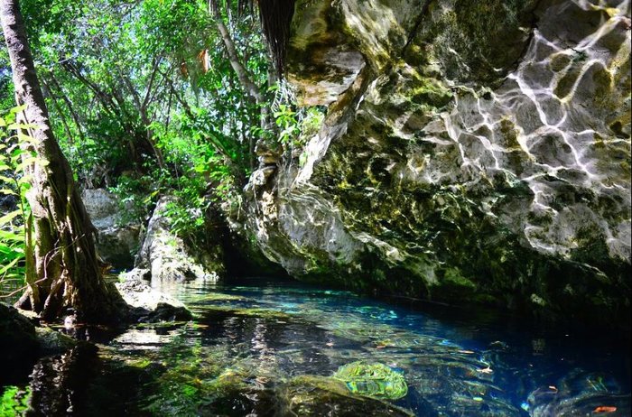 Cenotes of Chemuyil