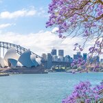 Your great Australian grand tour comes to a close in Sydney, with tours of its city sights and a harbor cruise
