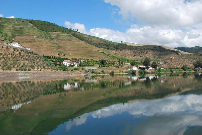 Douro Valley Rabelo boat tour