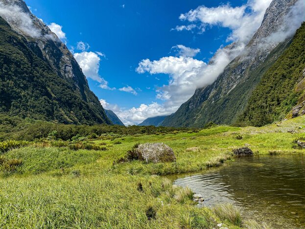 Full Day Milford Track Giant Gate Guided Walk