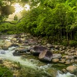 Spend two nights at an eco-retreat in the Daintree Rainforest before heading to Melbourne