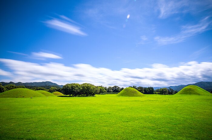 Full Day Gyeongju Tour with National Museum and Bulguksa Temple