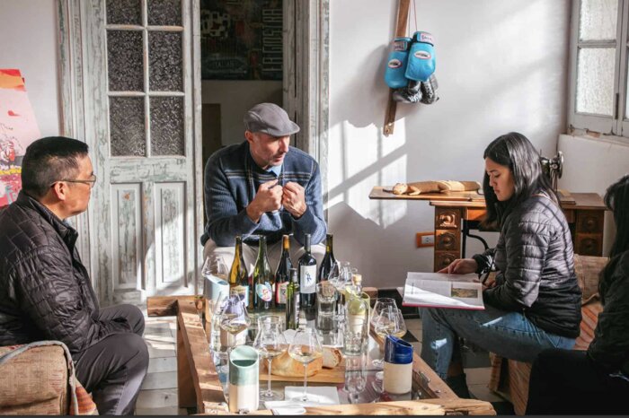 Mendoza Premium Wine Tour