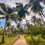 Spend two nights among the palms and beaches of Isla Múcura