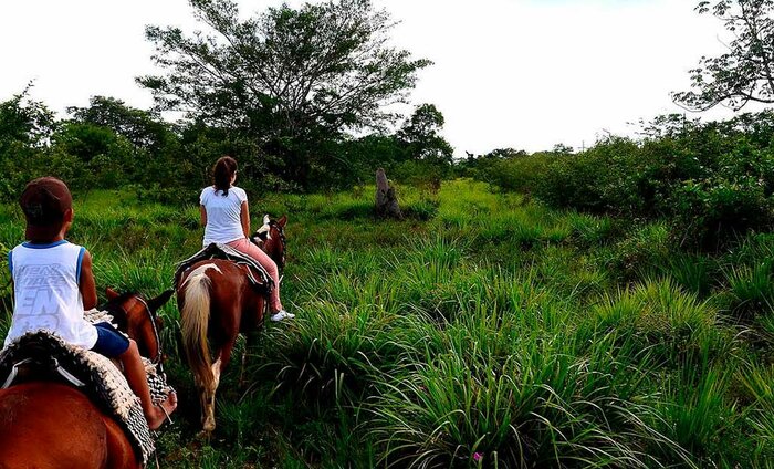 Full Days in Pantanal - Caiman Lodge