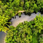 Discover some of the Amazon's secrets as you spend three nights at Calanoa Lodge in southern Colombia