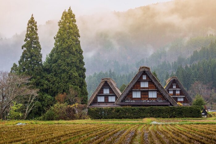 Day tour Shirakawa-go Village
