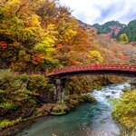 Head to Nikko to scope out the colorful fall foliage and its famous Shinkyo bridge