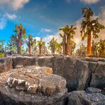 Discover Ecuador's incredible natural diversity, from Andean volcanoes to the uninhabited islands of the Galápagos 