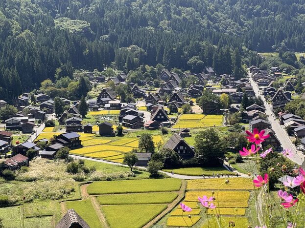 Full Day  Gokayama and Shirakawago  Tour from Kanazawa