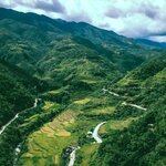 Terraced rice fields in northern Luzon (photo courtesy of AR)