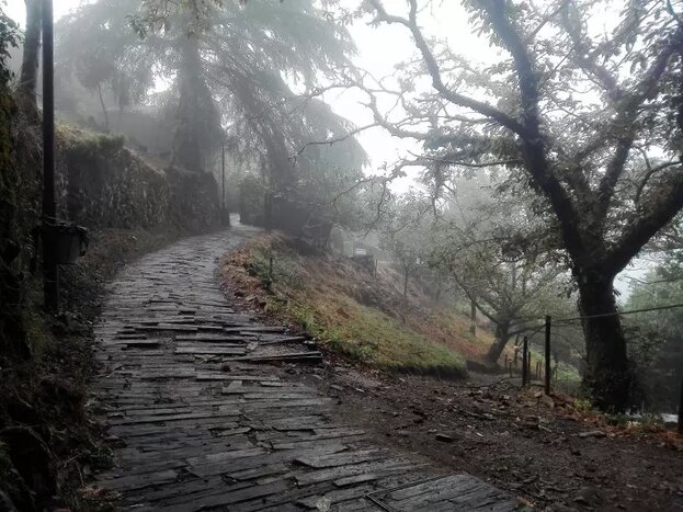 Half Day Visit to the Schist Villages of Serra da Lousã