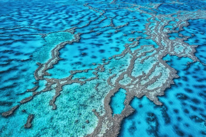 Explore Australia's famous Great Barrier Reef on a snorkeling tour from Cairns