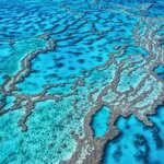 Explore Australia's famous Great Barrier Reef on a snorkeling tour from Cairns