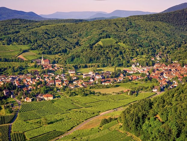 A Half-Day tour in the Alsatian villages from Strasbourg