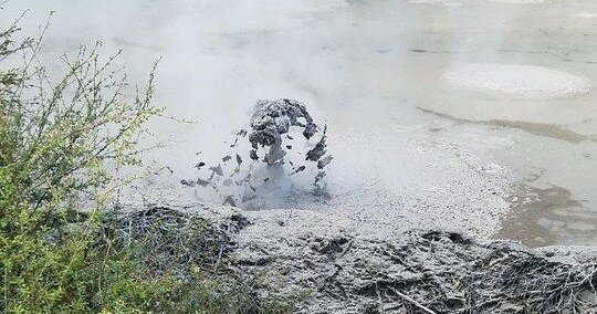 Real Rotorua - Thermal Path Tour