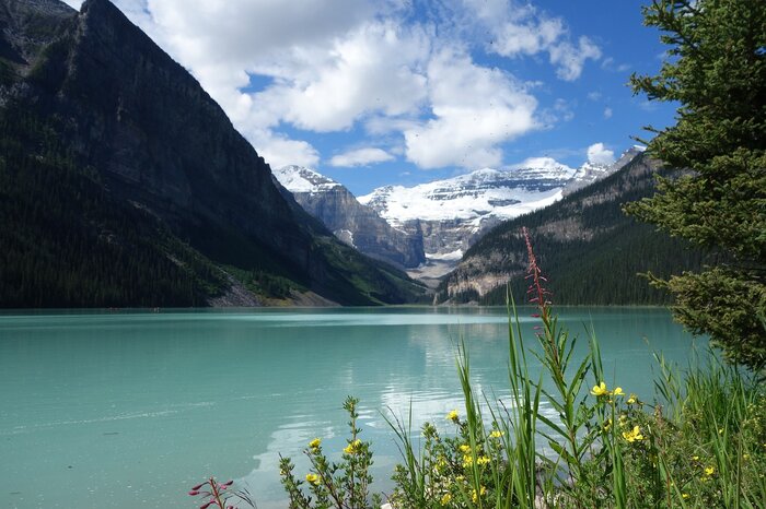 From Banff/Canmore: Moraine Lake & Lake Louise Experience