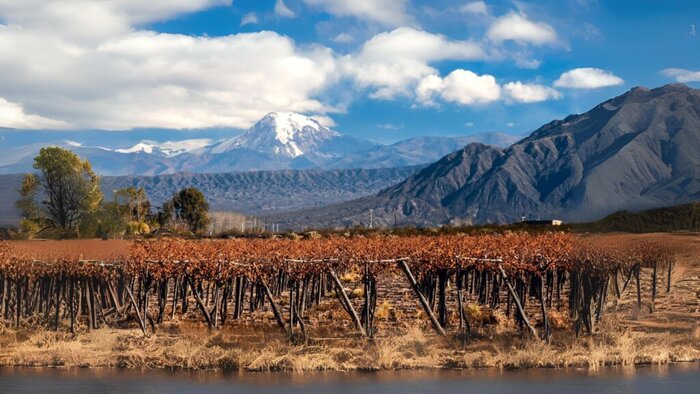 Concha y Toro  and Santa Rita  Vineyard 