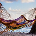 Spend a day snorkeling and lying out on the sand on Southwest Caye