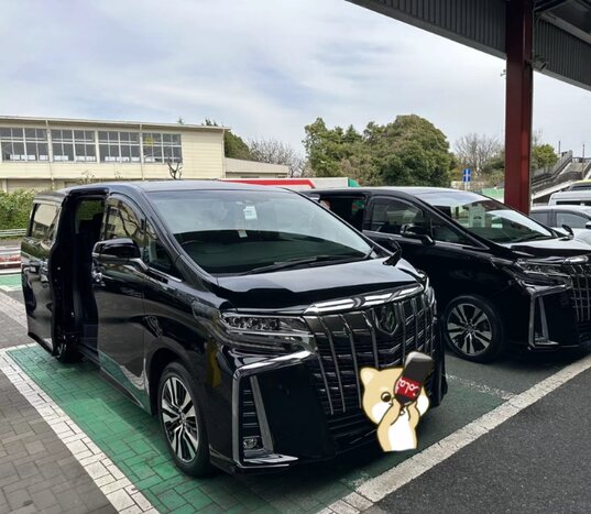 Full Day Tokyo Tour by Private Vehicle and Guide