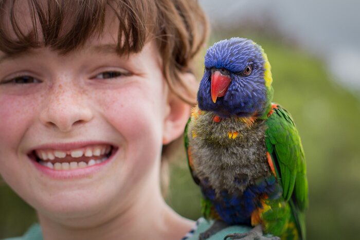 Meet New Zealand's local wildlife