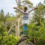 Explore the treetops of Rotorua by ziplines and hanging bridges
