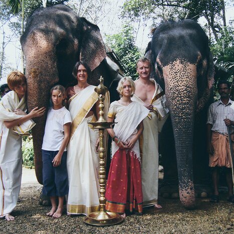 Experience a different world at Elephant Junction in Thekkady