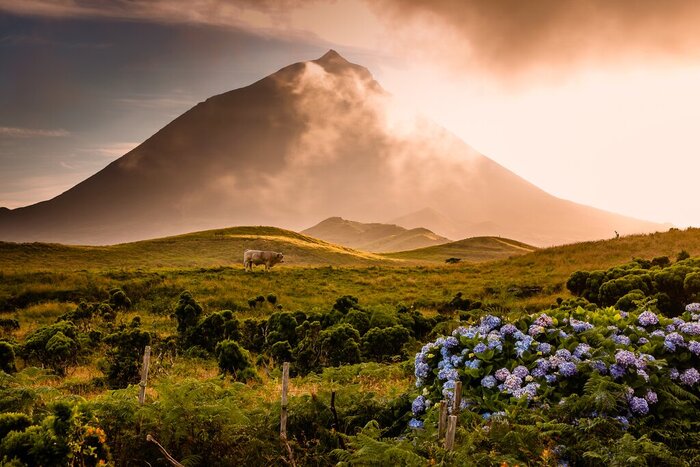 Marvel at Pico Island's natural beauty, including the summit of Piquinho